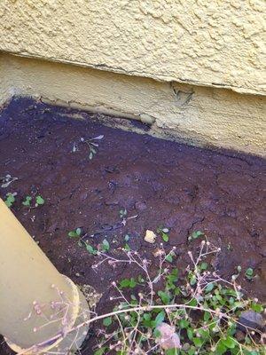 Stucco needs repairing pipe exposed