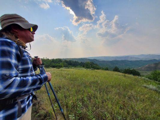 Grassland overviews