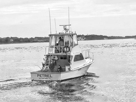 PETREL fishing charters.