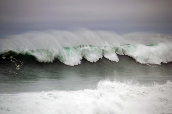 Mendocino Area Parks Association