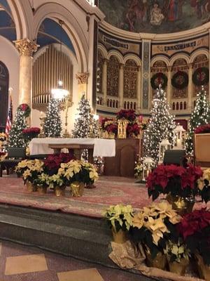 2015 Christmas, temporary sanctuary while our restoration is underway