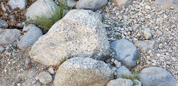 Cool speckled "dalmatian" rocks.