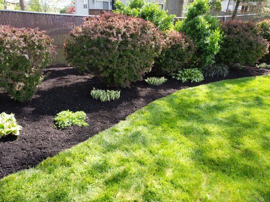 Lawn Care
Mulch 
Weed Removal & Trim