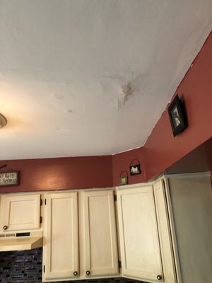 Ceiling ruined as a result of Tim paper's incompetent business practices