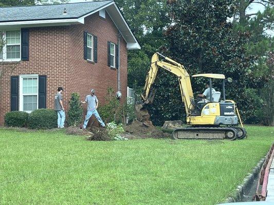 Repair sewer service in yard.