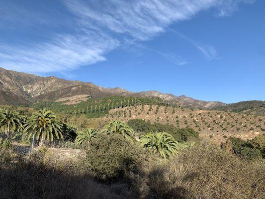 Views from the gazebo hike at Toro Canyon Park