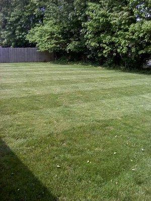 Pro Lawn and Landscapes