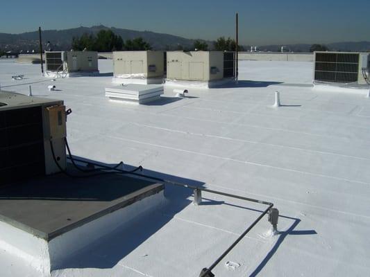 Restored Cap Sheet Roof