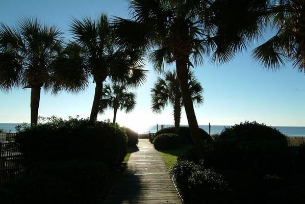 Find Myrtle Beach Hotels,  golf, attractions and more at MyrtleBeach.com