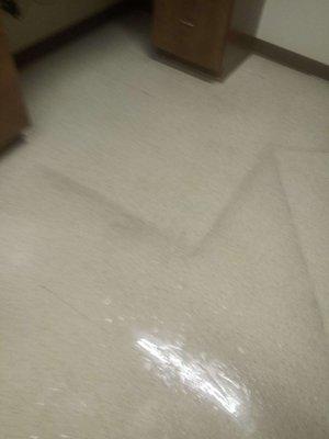 Floor Stripping & Waxing in Lexington, SC