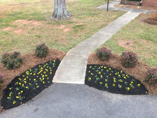 Topiary Renovation.