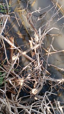 Plum Creek Nature Center