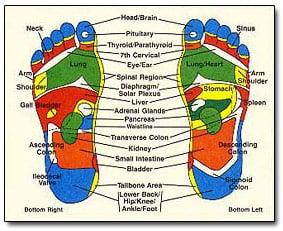 Phoenix Process Reflexology