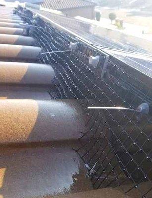 Solar panel bird proofing.