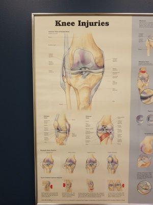 #knee bone connected to the...