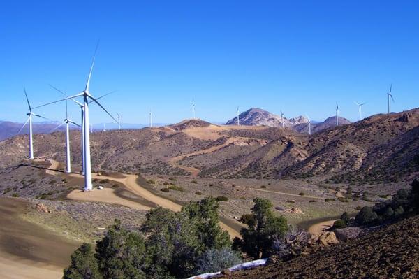 Pine Tree Wind Farm - Cantil, California