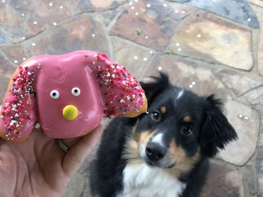 Dog donut