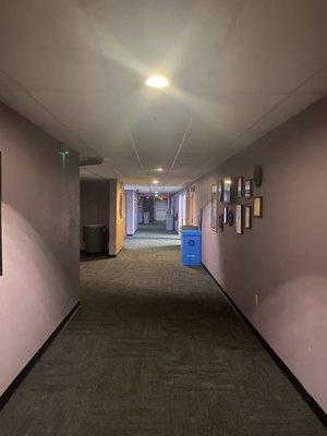 Themed hallways leading to theaters