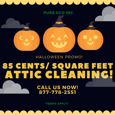 It's spooky season! It's time to get those cobwebs in your attic cleaned. Call us now 877-778-2551