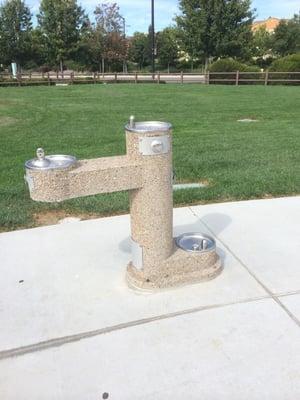 They even have a water fountain for dogs!