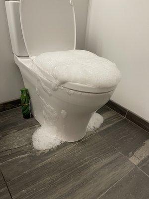 Toilet over flowing with soap