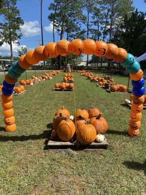 Pumpkin patch