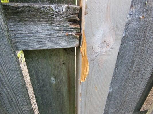 Damaged fence post.