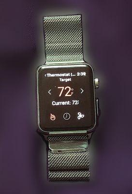 Thermostat on Apple Watch