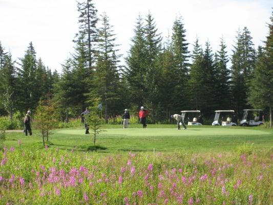 Fireweed Meadows Golf Course