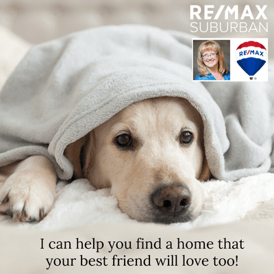 Linda Dressler - RE/MAX Suburban