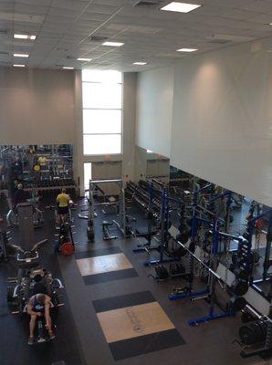 Just a third of the weight room offered at University Fitness Center