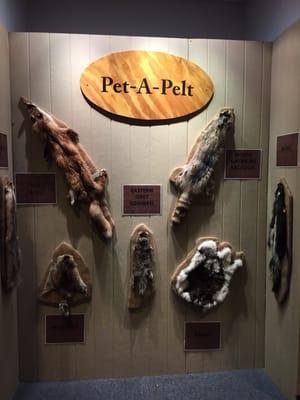 Pet pelts!