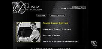 platinumsecuritygroup.com