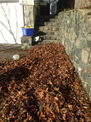 Fall Clean Up in Lynn, MA