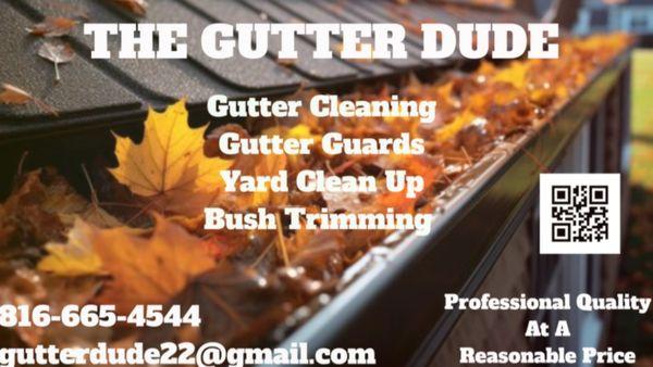 Ross's Gutter & Leaf Clean Up