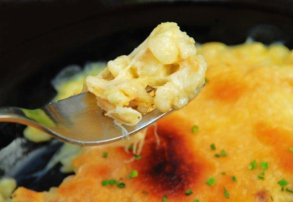 creamy mac & cheese