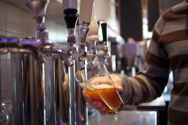 Dogwood has 5 craft beer options on tap.