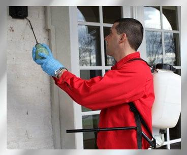 Honorguard Pest Control Services is the best in pest control in Nashville, TN helping homes and business with pest and mold p...