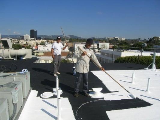 Roof coating system