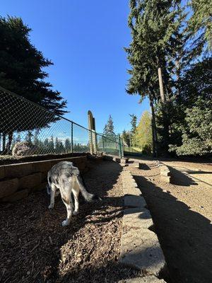 Mountlake Terrace Off Leash Dog Park