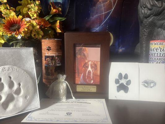 My dog Diesels  paw print lock of  fur, his urn  with ashes and nose print