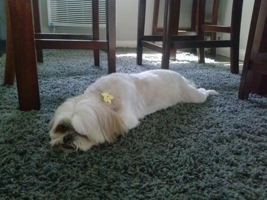 Rapunzel is resting after her busy morning at the spa.