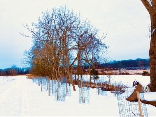 Green Hills Preserve - Natural Lands