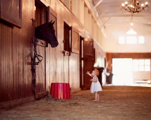 The Chandelier Barn has a very sweet visitor