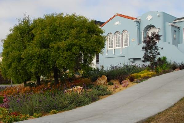 Borica 'after' drought tolerant plantings replace grass.....