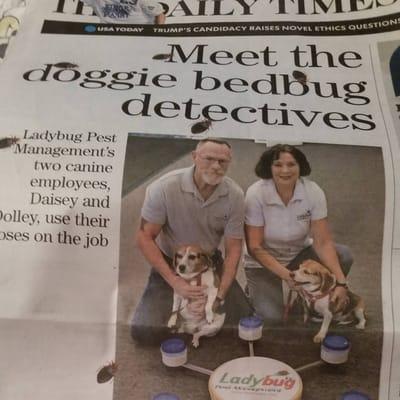 Daisey & Dolley Bed Bug Scent Beagles and their Owners Sandy & Frank Honess of Ladybug Pest Mgmt.