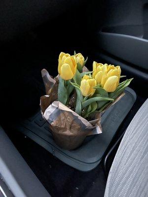 Tulips $9.99 best place for flowers