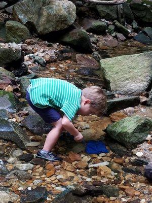 Minnow fishing is the most popular activity during our walking field trips to a local creek.