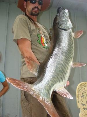 Musky skin mount