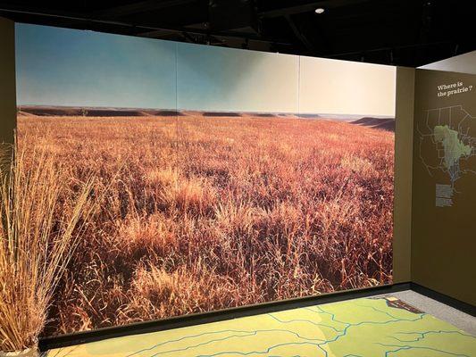 Excellent explanation and exhibits of the prairie.